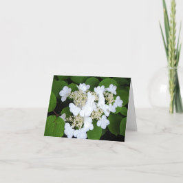 "Gillar blommor fjärilar ", Kort