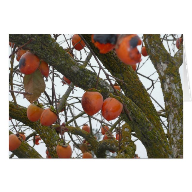 "Gillar jag sure att hänga ut med dig. ", Hälsningskort (Framsidan Horizontal)