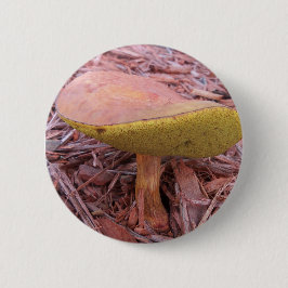 Gilled Bolete Mushroom Knapp
