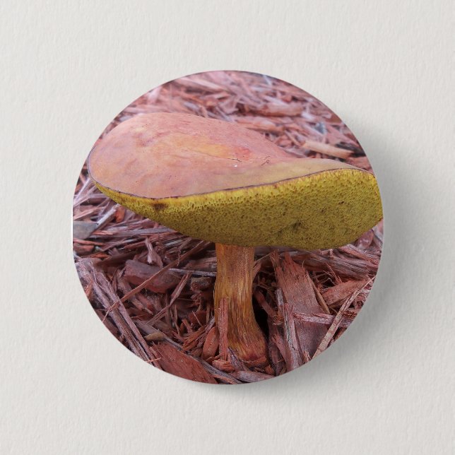 Gilled Bolete Mushroom Knapp (Framsida)