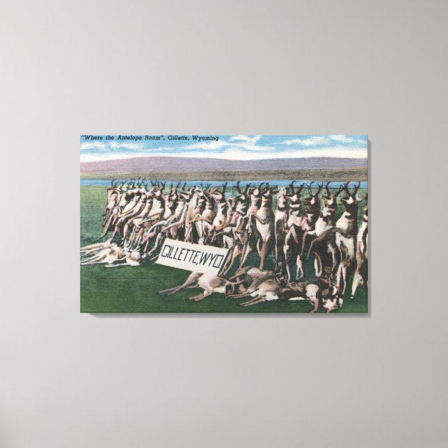 Gillette, WY - Där Antelope Roam Canvastryck (Framsida)