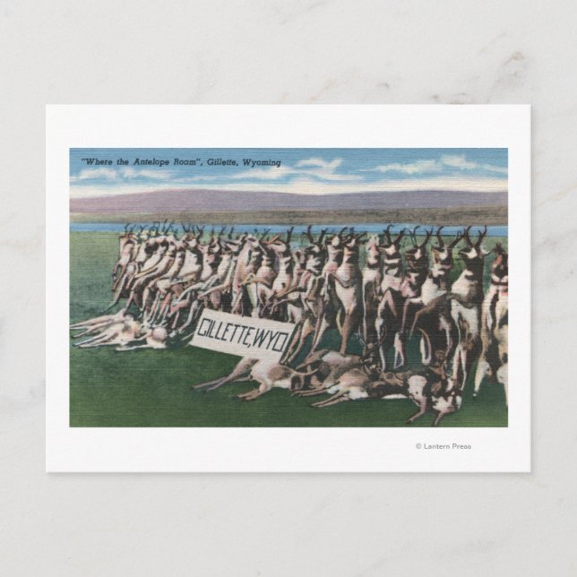 Gillette, WY - Där Antelope Roam Vykort (Framsida)