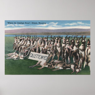 Gillette WY - var antilopet strövar omkring Poster