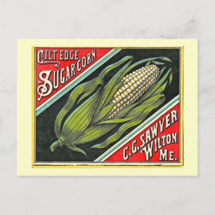 Gilt Edge Sugar Corn Vintage Förpackningslabel Vykort