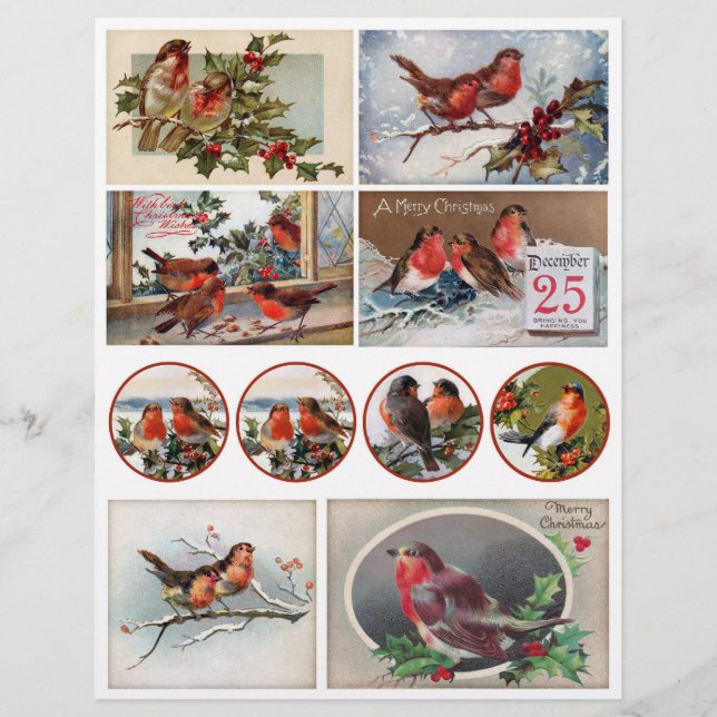 Giltiga Viktorianska Era-postkort med Robins (Framsida)