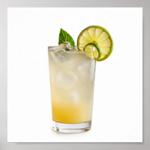 Gin Fizz Recipe Poster