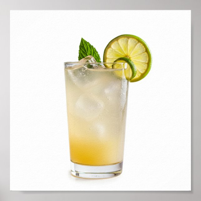 Gin Fizz Recipe Poster (Framsidan)