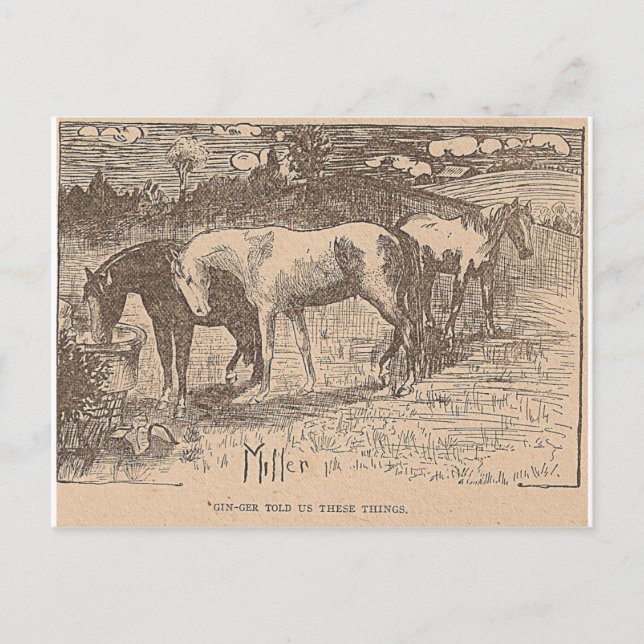 Ginger berättade för oss Sak Vykort (Framsida)