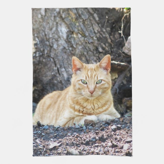 Ginger Boy Kökshandduk (Vertikal)