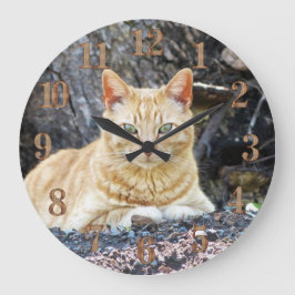 Ginger Boy Stor Klocka