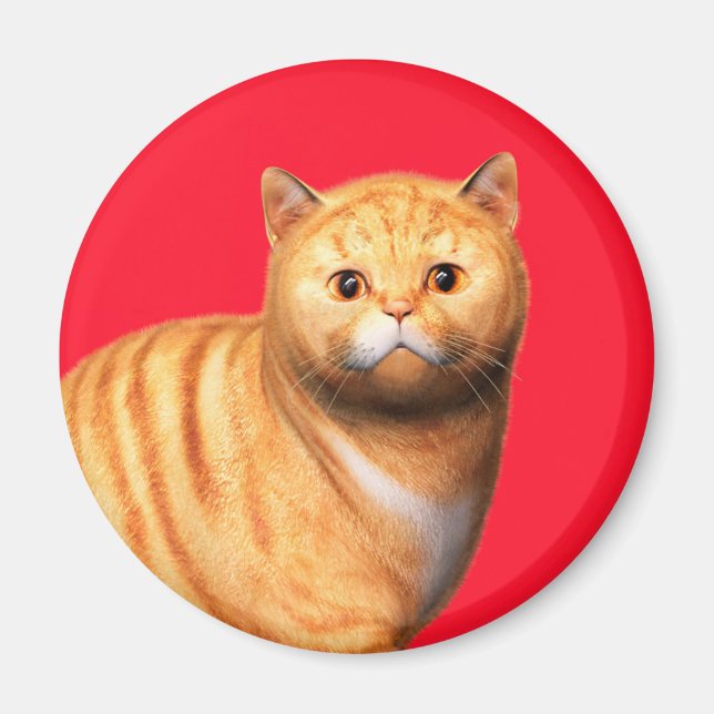 Ginger Cat 3 Magnet (Framsidan)