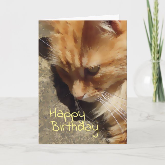 Ginger cat Birthday kort (Framsida)