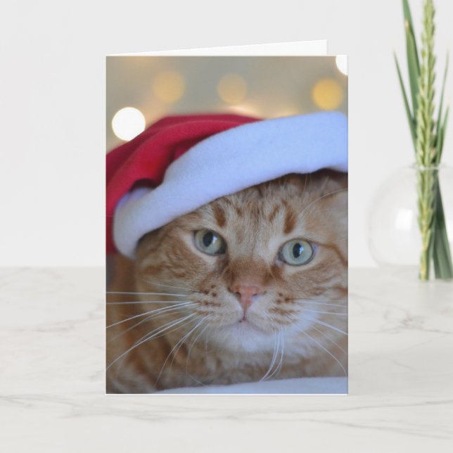 GINGER CAT CHRISTMAS CARD HELGKORT (Framsida)