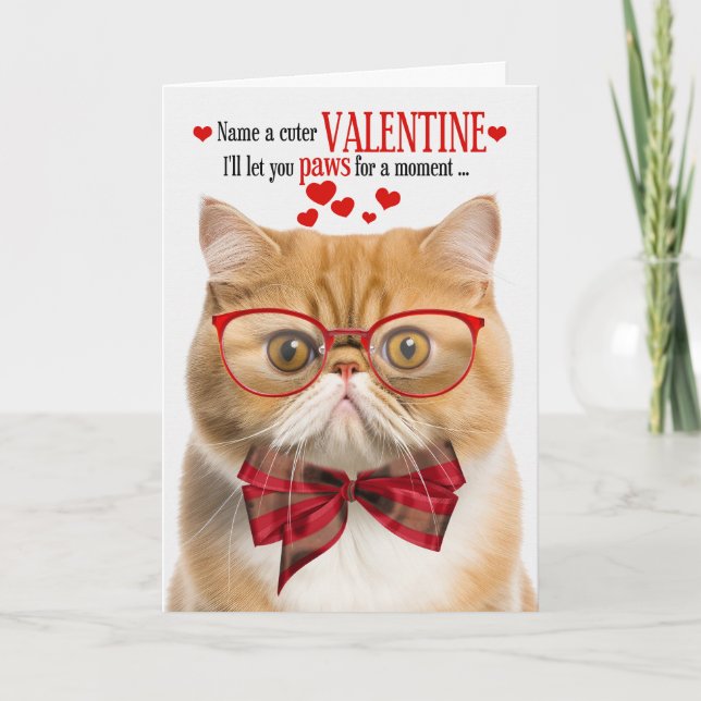 Ginger Cat Exotic Shorthair Humor Alla hjärtans da Helgkort (Framsida)