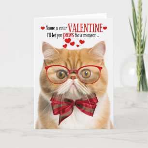 Ginger Cat Exotic Shorthair Humor Alla hjärtans da Helgkort