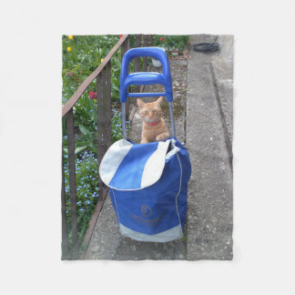 Ginger Cat Fleece Blanket