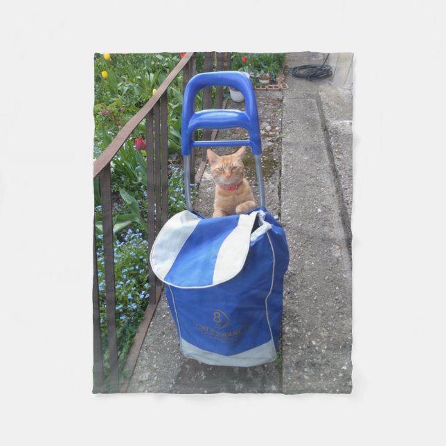 Ginger Cat Fleece Blanket (Framsidan)