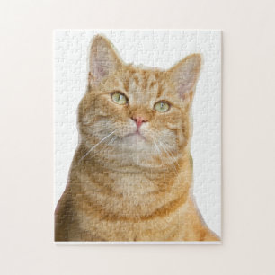 Ginger cat grönt öga jigszons puzzle pussel