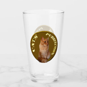 Ginger Cat Guld Coin, Glass Tumbler Glaskopp