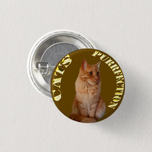 Ginger Cat Guld Coin, Round Badge Knapp