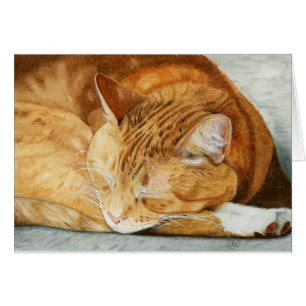 Ginger Cat - hälsningskort för Djurälskare