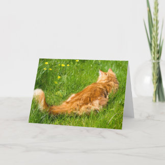 Ginger Cat in Springtime Kort
