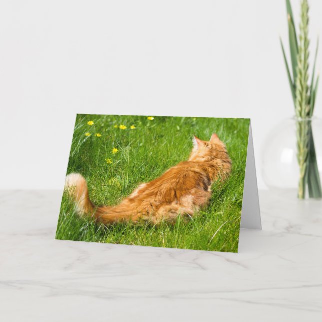 Ginger Cat in Springtime Kort (Framsida)