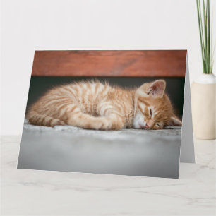 GINGER CAT KITTEN SLEEPING BIRTHDAY GREETING CARD KORT