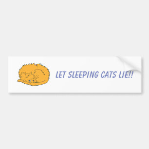 Ginger Cat Let Sleeping Cats Ljug Bildekal