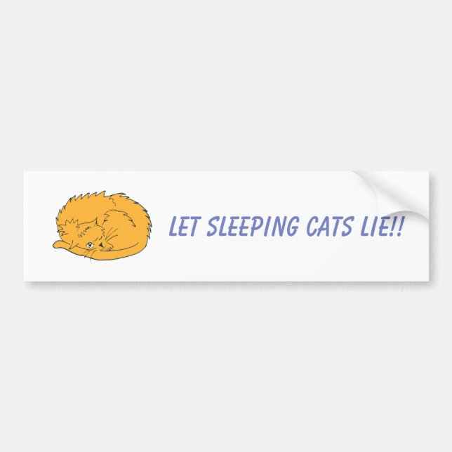 Ginger Cat Let Sleeping Cats Ljug Bildekal (Framsidan)