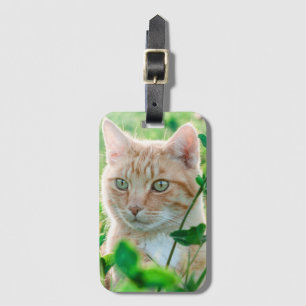 Ginger Cat med Grönt Öga i gräs Bagagebricka