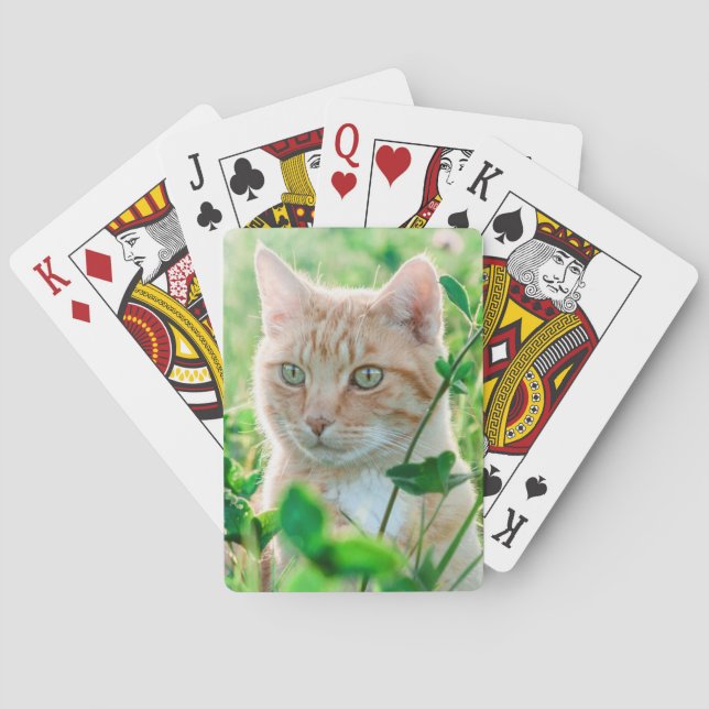 Ginger Cat med Grönt Öga i gräs Casinokort (Baksidan)