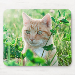 Ginger Cat med Grönt Öga i gräs Musmatta