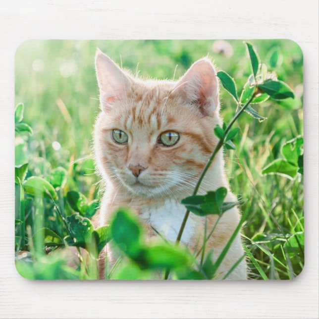 Ginger Cat med Grönt Öga i gräs Musmatta (Framsidan)