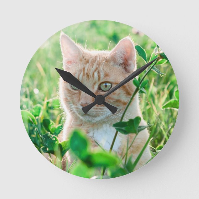 Ginger Cat med Grönt Öga i gräs Rund Klocka (Framsida)