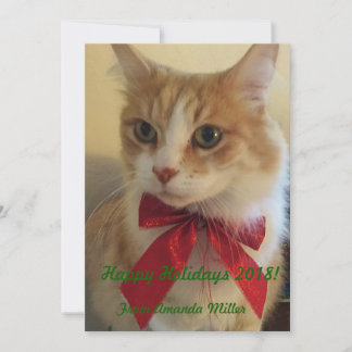 Ginger Cat med Red Ribbon jul Julkort
