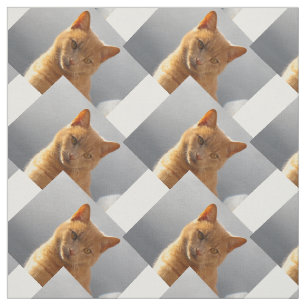 Ginger cat Merlin Tyg