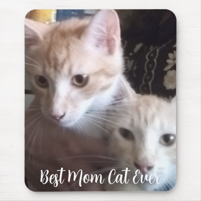 Ginger cat musmatta (Framsidan)