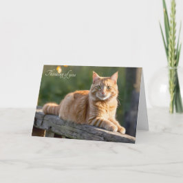 Ginger Cat på ett Rustic-stängsel Kort