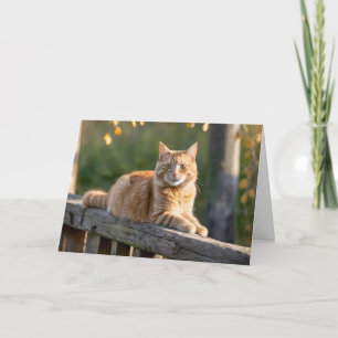Ginger Cat på ett Rustic-stängsel Kort