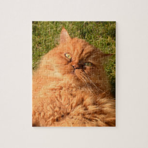 GINGER CAT PERSIAN JIGSAW Puzzle Pussel