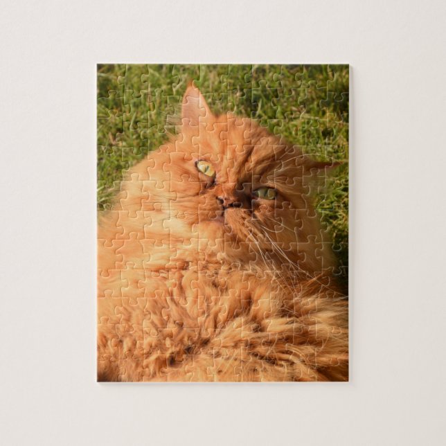 GINGER CAT PERSIAN JIGSAW Puzzle Pussel (Vertikal)