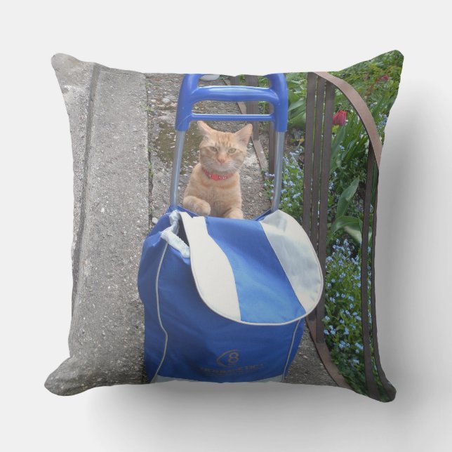 Ginger Cat Pillow Kudde (Framsida)