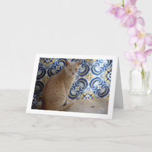 Ginger Cat Porträtt Kort