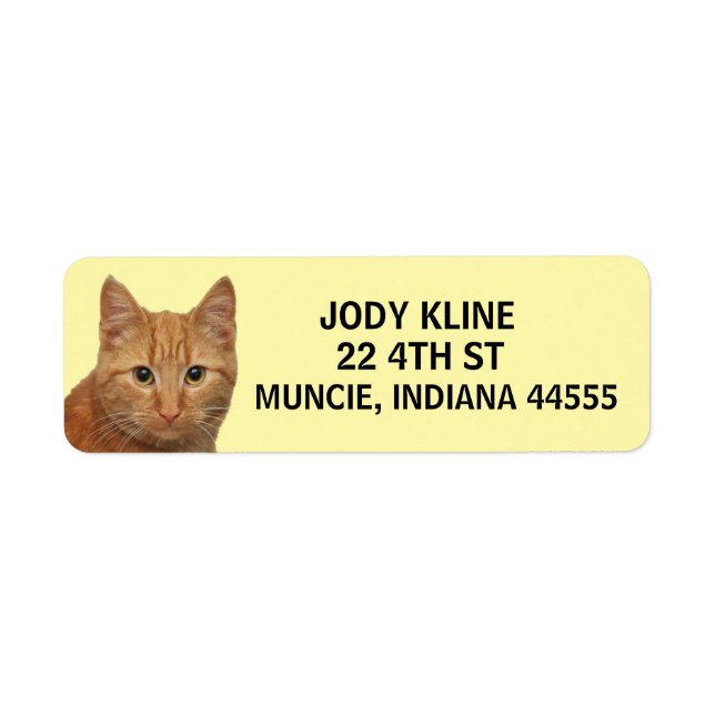 GINGER CAT Return-adressetikett Returadress Etikett (Framsidan)