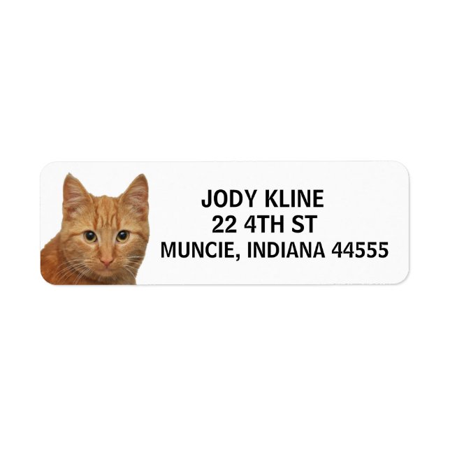 GINGER CAT Return-adressetikett Returadress Etikett (Framsidan)