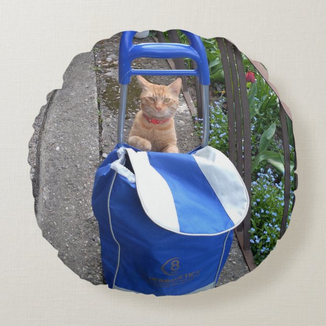 Ginger Cat Round Pillow Rund Kudde (Framsidan)