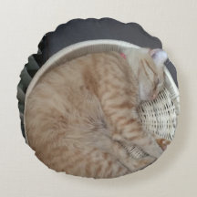 Ginger Cat Round Pillow
