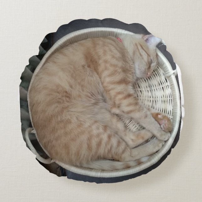 Ginger Cat Round Pillow Rund Kudde (Framsidan)