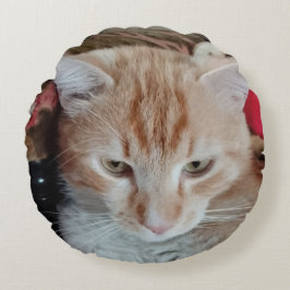 Ginger Cat Round Pillow Rund Kudde